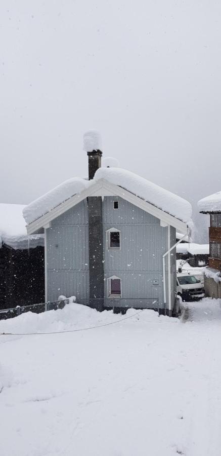 Casa Cuschina - Mit Sauna In Der Schoenen Surselva Dardin ภายนอก รูปภาพ