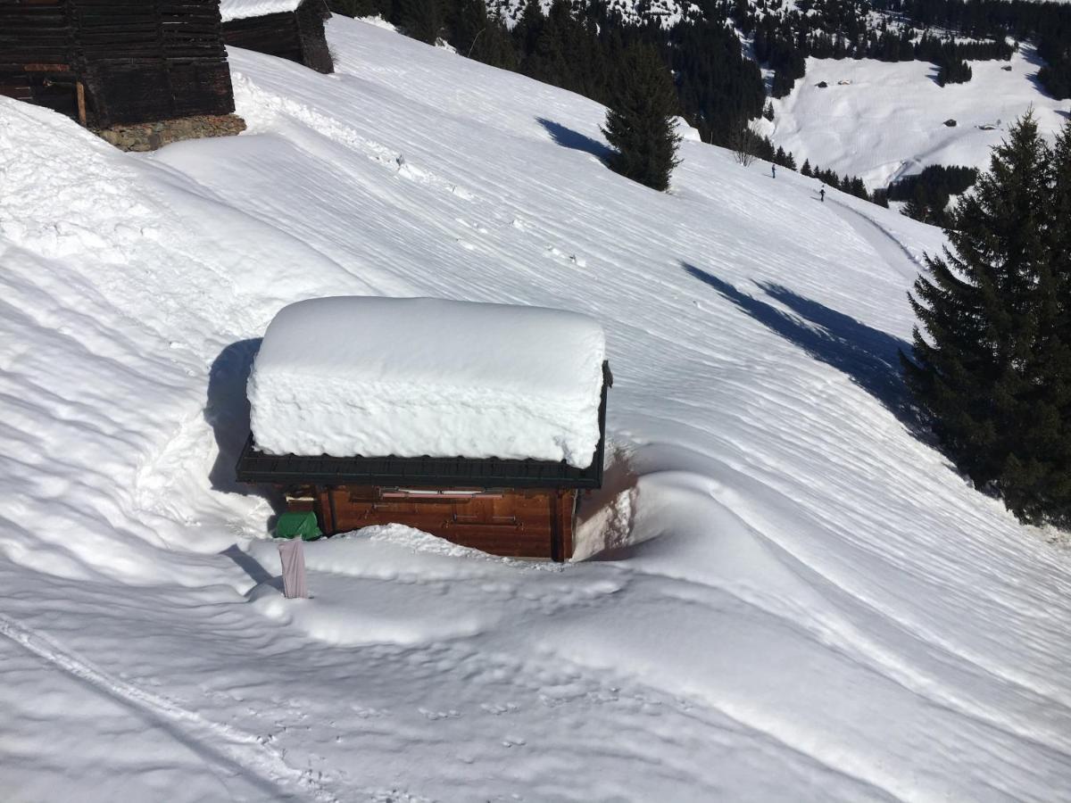 Casa Cuschina - Mit Sauna In Der Schoenen Surselva Dardin ภายนอก รูปภาพ